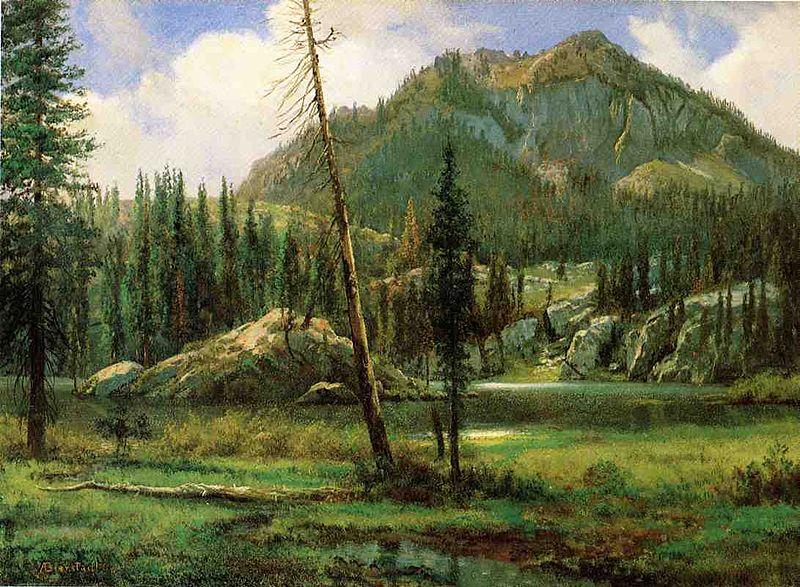 Albert Bierstadt Sierra_Nevada_Mountains oil painting image